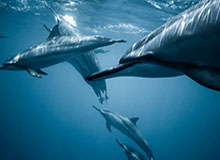 开云登录入口地址：开启无缝安全的数字世界